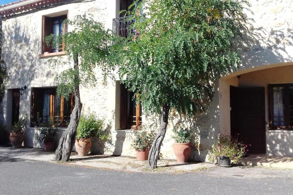 Chez Sheila Cucugnan Exterior foto